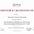 Powiększ obraz: certificate 4