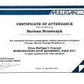 Powiększ obraz: certificate 9