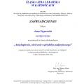 Powiększ obraz: certificate 11