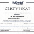 Powiększ obraz: certificate 1