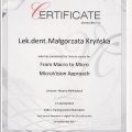 Powiększ obraz: certificate 11