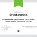 Powiększ obraz: certificate 9