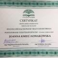 Powiększ obraz: certificate 20