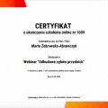 Powiększ obraz: certificate 13
