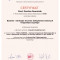 Powiększ obraz: certificate 5