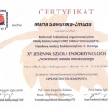 Powiększ obraz: certificate 51