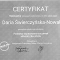 Powiększ obraz: certificate 7