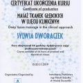 Powiększ obraz: certificate 7