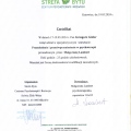 Powiększ obraz: certificate 19