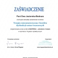 Powiększ obraz: certificate 40