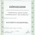 Powiększ obraz: certificate 13