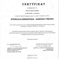 Powiększ obraz: certificate 5