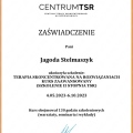 Powiększ obraz: certificate 3