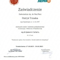 Powiększ obraz: certificate 1