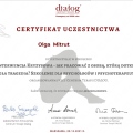 Powiększ obraz: certificate 3