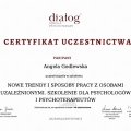 Powiększ obraz: certificate 5