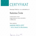 Powiększ obraz: certificate 1