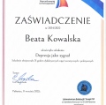 Powiększ obraz: certificate 35