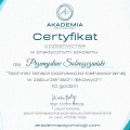 Powiększ obraz: certificate 2