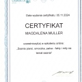 Powiększ obraz: certificate 20