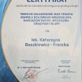 Powiększ obraz: certificate 3