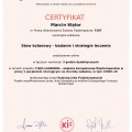 Powiększ obraz: certificate 12