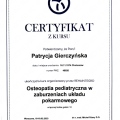 Powiększ obraz: certificate 11