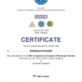 Powiększ obraz: certificate 7