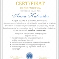 Powiększ obraz: certificate 20