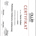 Powiększ obraz: certificate 2