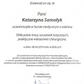 Powiększ obraz: certificate 7