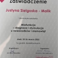 Powiększ obraz: certificate 10