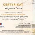 Powiększ obraz: certificate 15