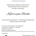 Powiększ obraz: certificate 19