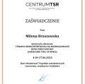 Powiększ obraz: certificate 1
