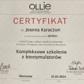 Powiększ obraz: certificate 16