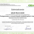 Powiększ obraz: certificate 30