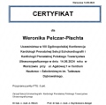 Powiększ obraz: certificate 17