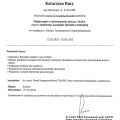 Powiększ obraz: certificate 6