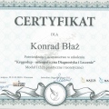 Powiększ obraz: certificate 4