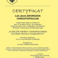 Powiększ obraz: certificate 13