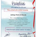 Powiększ obraz: certificate 5