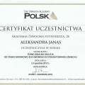 Powiększ obraz: certificate 4