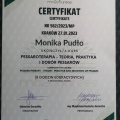 Powiększ obraz: certificate 7