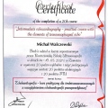 Powiększ obraz: certificate 1