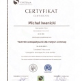 Powiększ obraz: certificate 9