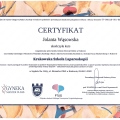 Powiększ obraz: certificate 5