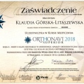 Powiększ obraz: certificate 13