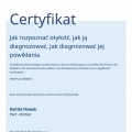 Powiększ obraz: certificate 2