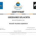 Powiększ obraz: certificate 19